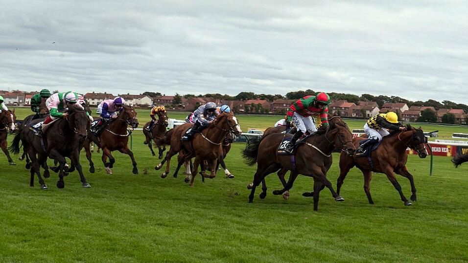 Horse racing action at Ayr